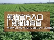 种植基地五