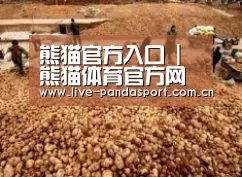 种植基地二