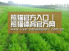 种植基地四
