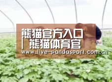 种植基地三