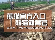 种植基地七(图1)