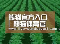 种植基地六