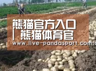 种植基地八