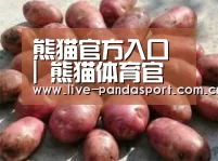 产品展示标题5(图1)