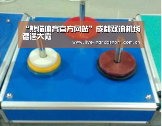 “熊猫体育官方网站”成都双流机场遭遇大雾(图1) 熊猫体育app