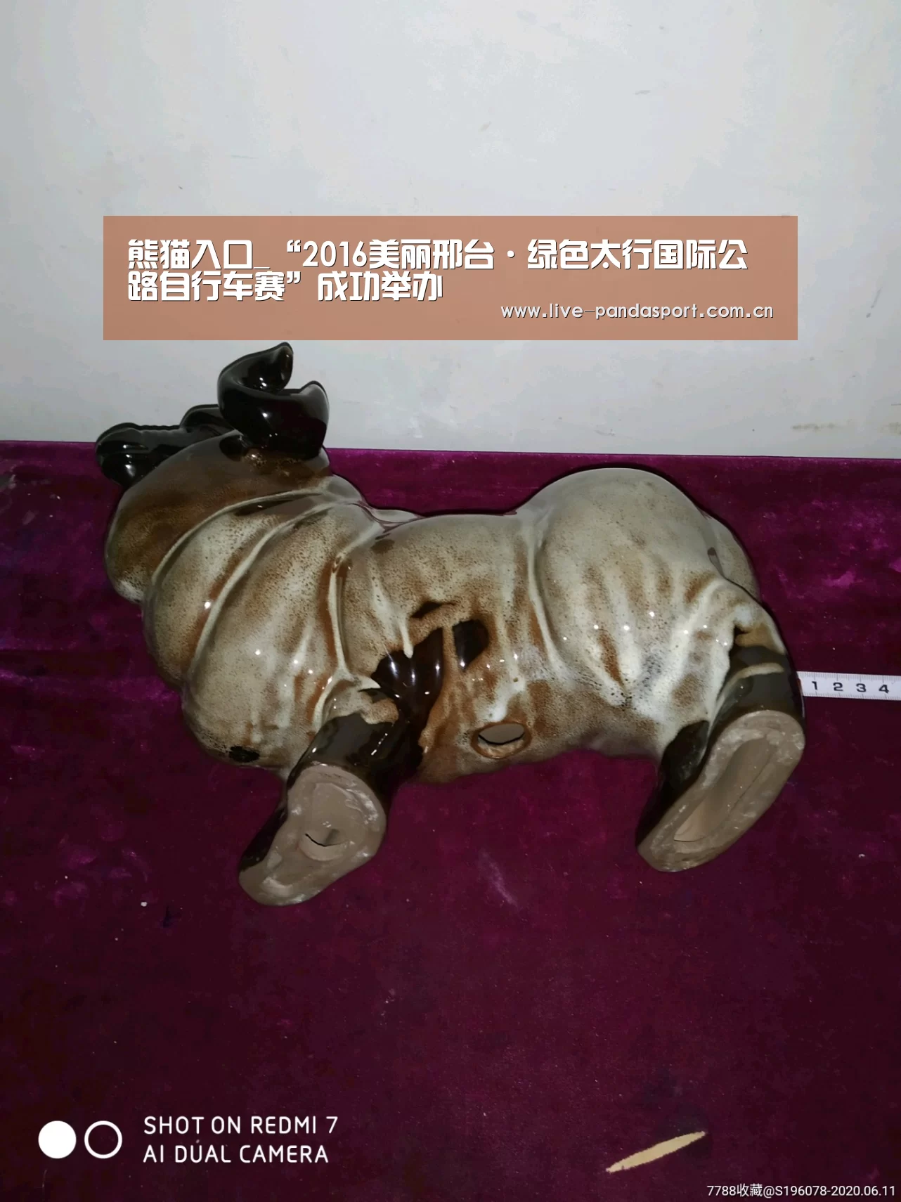 熊猫入口_“2016美丽邢台·绿色太行国际公路自行车赛”成功举办(图3) 熊猫体育官网