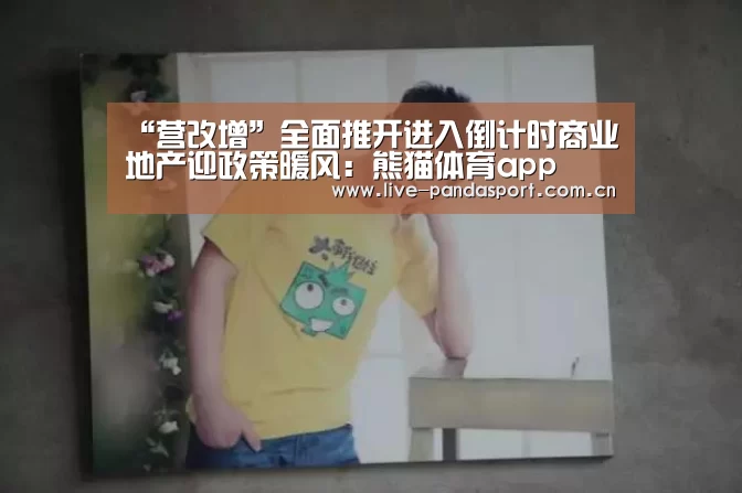 “营改增”全面推开进入倒计时商业地产迎政策暖风:熊猫体育app(图3) 熊猫入口