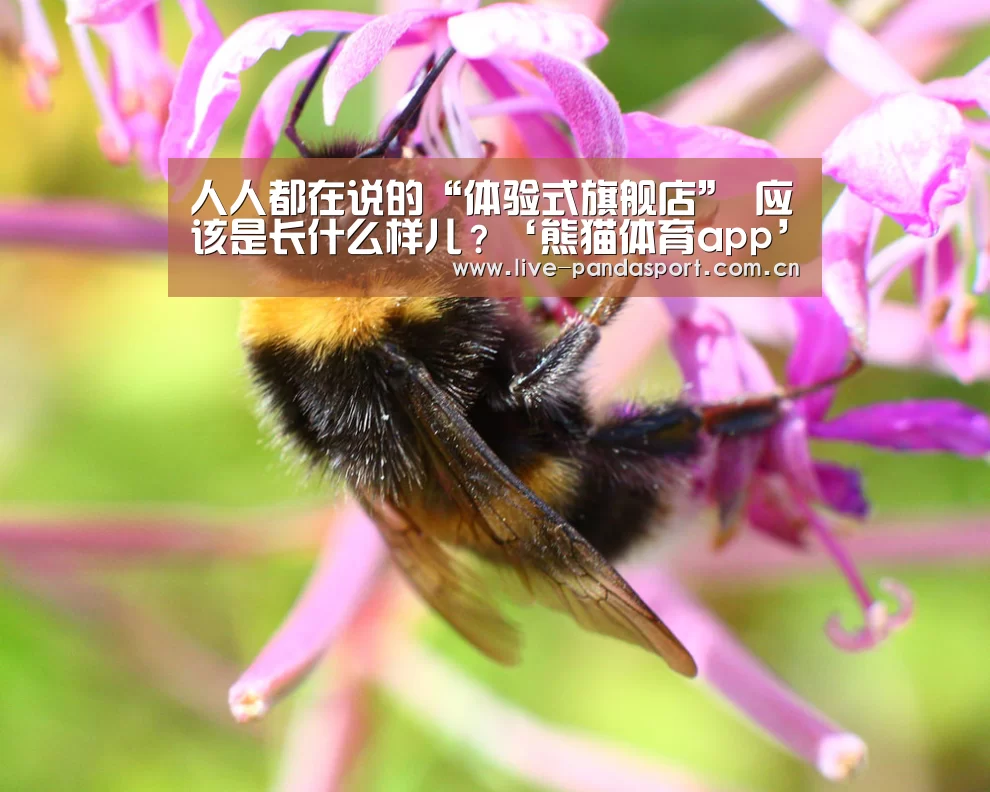 人人都在说的“体验式旗舰店” 应该是长什么样儿?‘熊猫体育app’(图2) 熊猫体育app