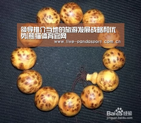领导推介当地的旅游发展战略和优势|熊猫体育官网(图1) 熊猫体育官方网站