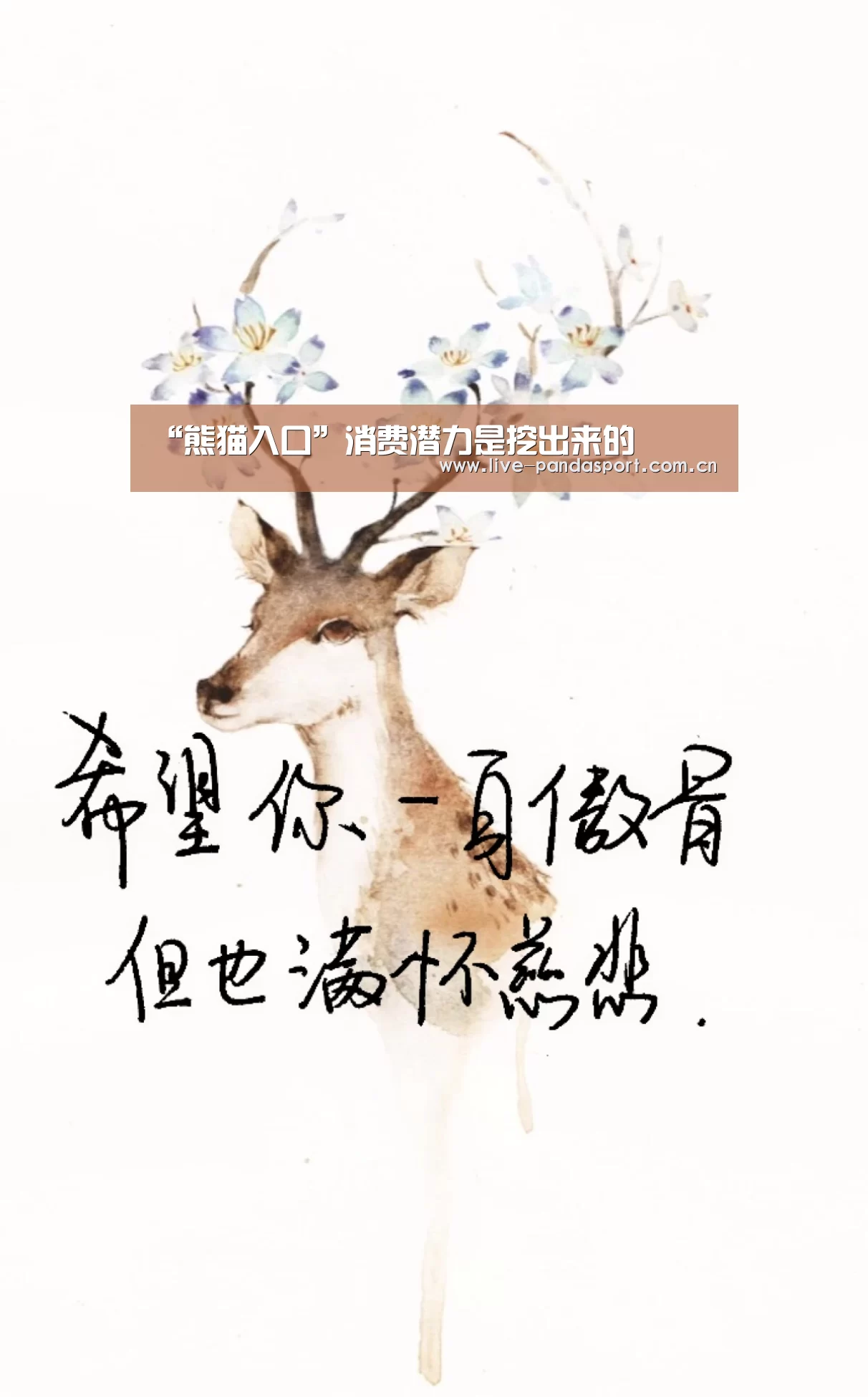 “熊猫入口”消费潜力是挖出来的(图1) 熊猫体育app