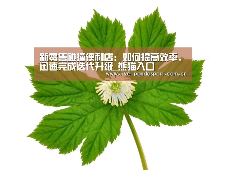 新零售碰撞便利店:如何提高效率、迅速完成迭代升级_熊猫入口(图2) 熊猫体育官网