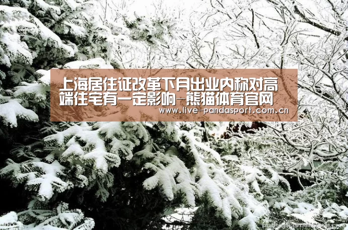 上海居住证改革下月出业内称对高端住宅有一定影响-熊猫体育官网(图3) 熊猫体育app