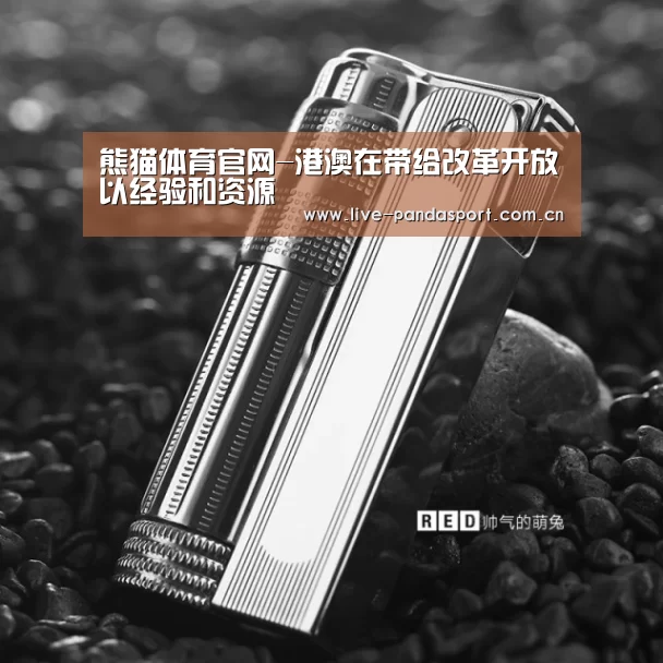 熊猫体育官网-港澳在带给改革开放以经验和资源(图4) 熊猫体育app