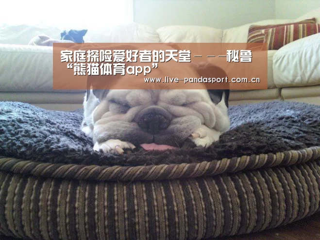 家庭探险爱好者的天堂---秘鲁“熊猫体育app”(图3) 熊猫体育官网