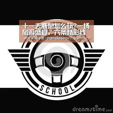 熊猫体育官方网站