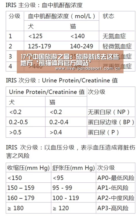 熊猫体育官网