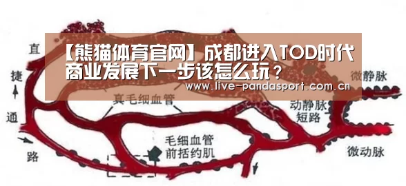 【熊猫体育官网】成都进入TOD时代 商业发展下一步该怎么玩?(图2) 熊猫入口