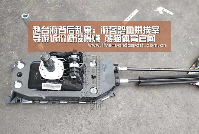 赴台游背后乱象:游客怨血拼挨宰 导游诉价低没得赚_熊猫体育官网(图2) 熊猫体育官方网站
